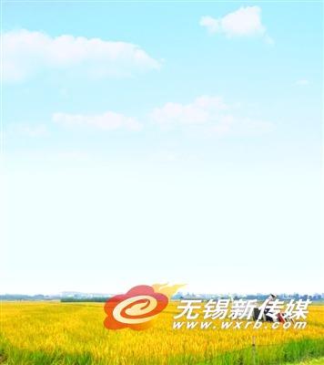 宜興“智慧農(nóng)業(yè)”聞稻香