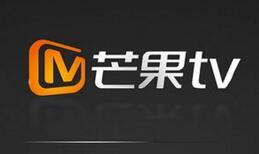 歡樂(lè)購(gòu)豪購(gòu)五公司股權(quán) 湖南臺(tái)打造完整產(chǎn)業(yè)鏈