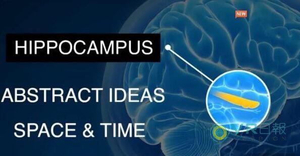 用VR探索人類空間感知原理