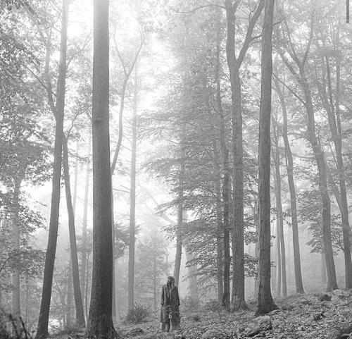 泰勒·斯威夫特演唱會電影將在Disney+上播出